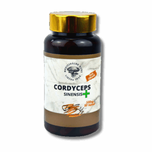 Cordyceps sinensis plus